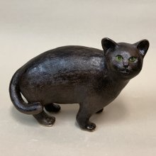 他の写真1: 黒猫 1